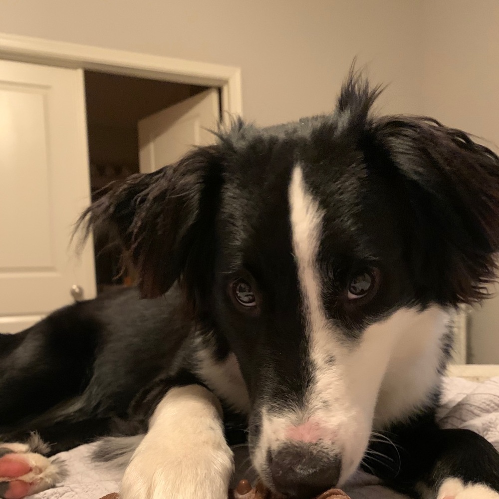 Meet your Posher, Caleb